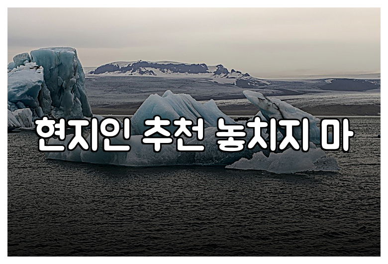 현지인 추천 놓치지 마