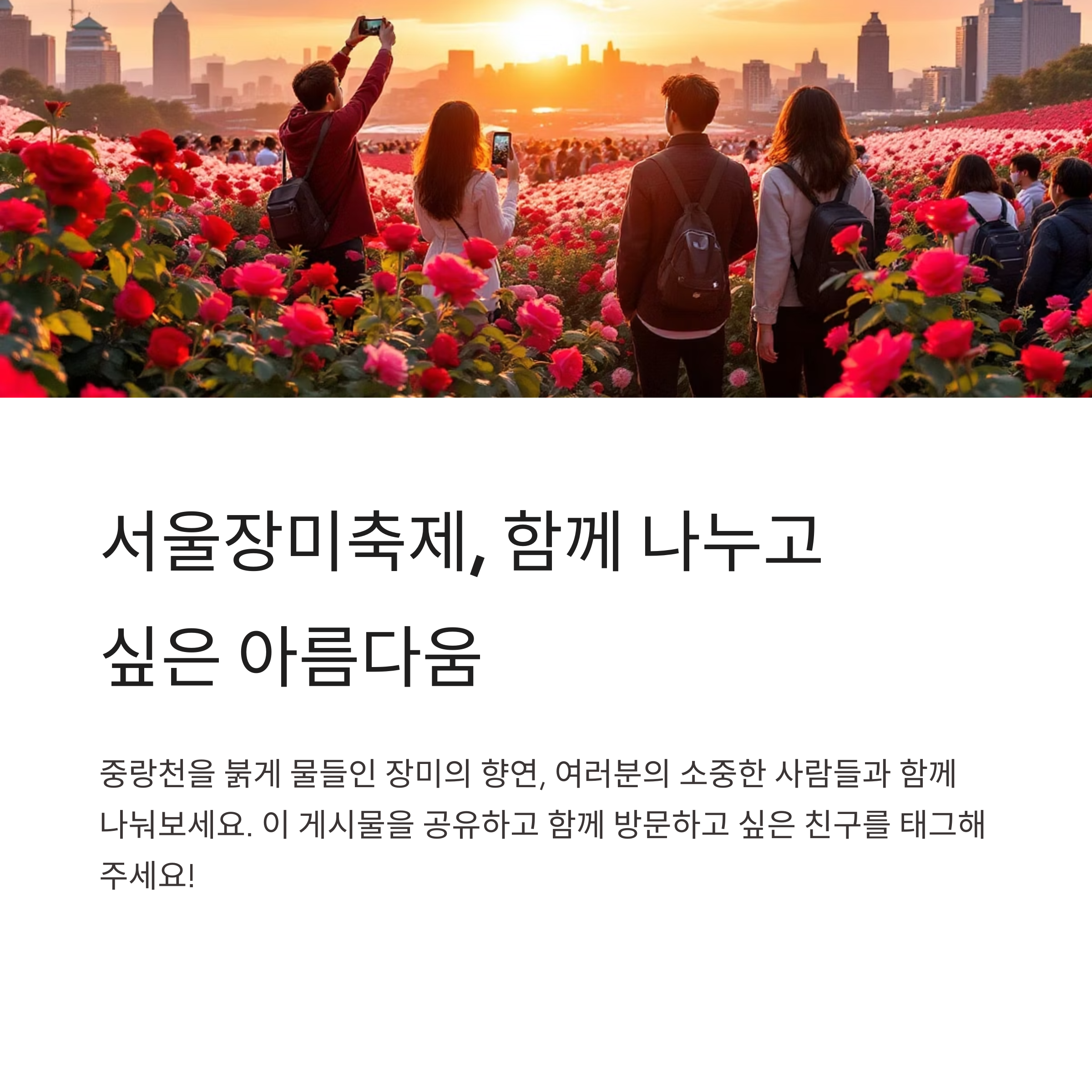 2025 서울장미축제, 중랑천을 붉게 물들인 9일간의 꽃 대향연
