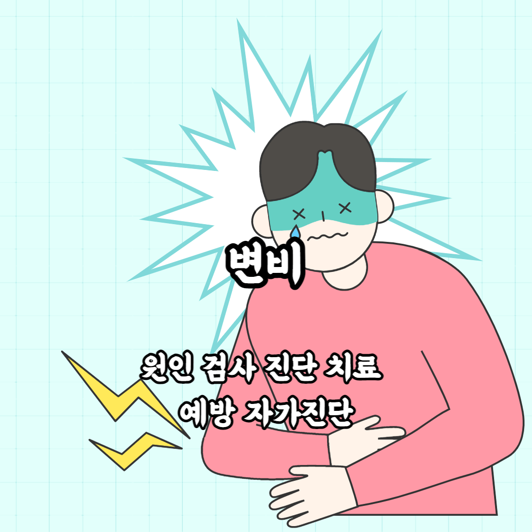 변비 원인 검사 진단 치료 예방 자가진단