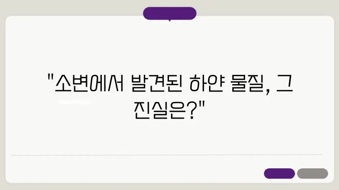 소변에 하얀 찌꺼기, 이물질, 덩어리 원인