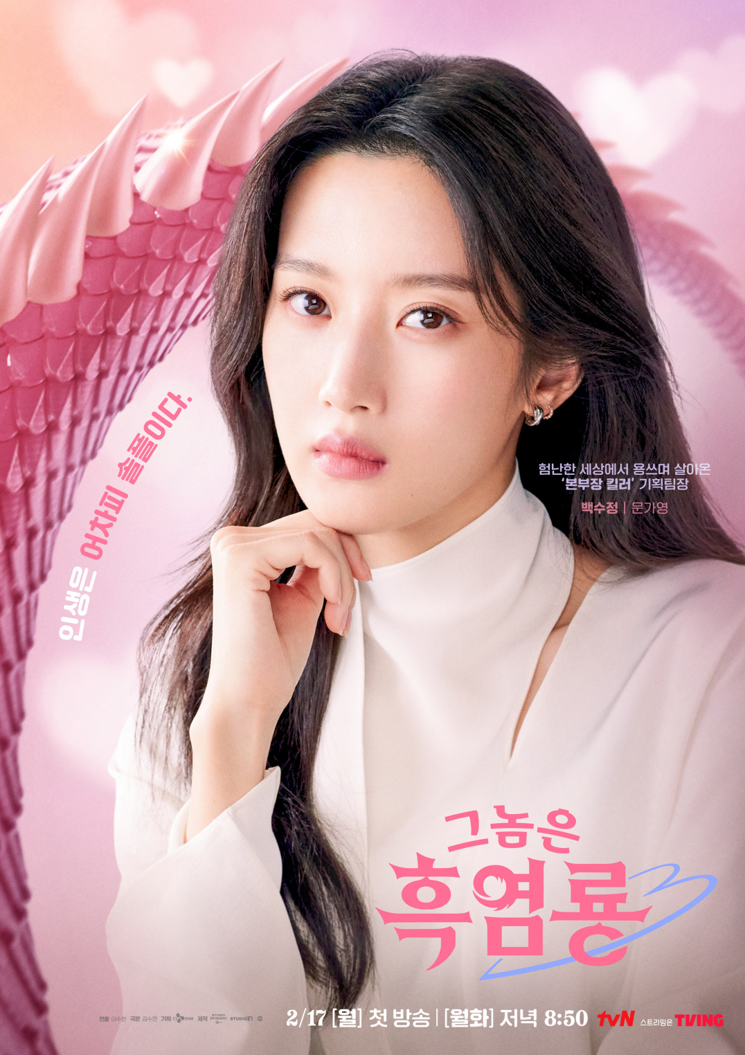 그놈은 흑염룡 문가영2