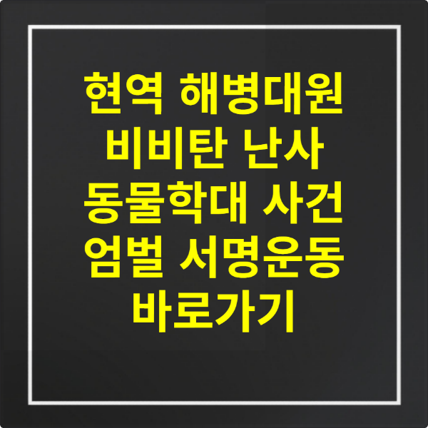 해병대원 비비탄 동물학대 사건