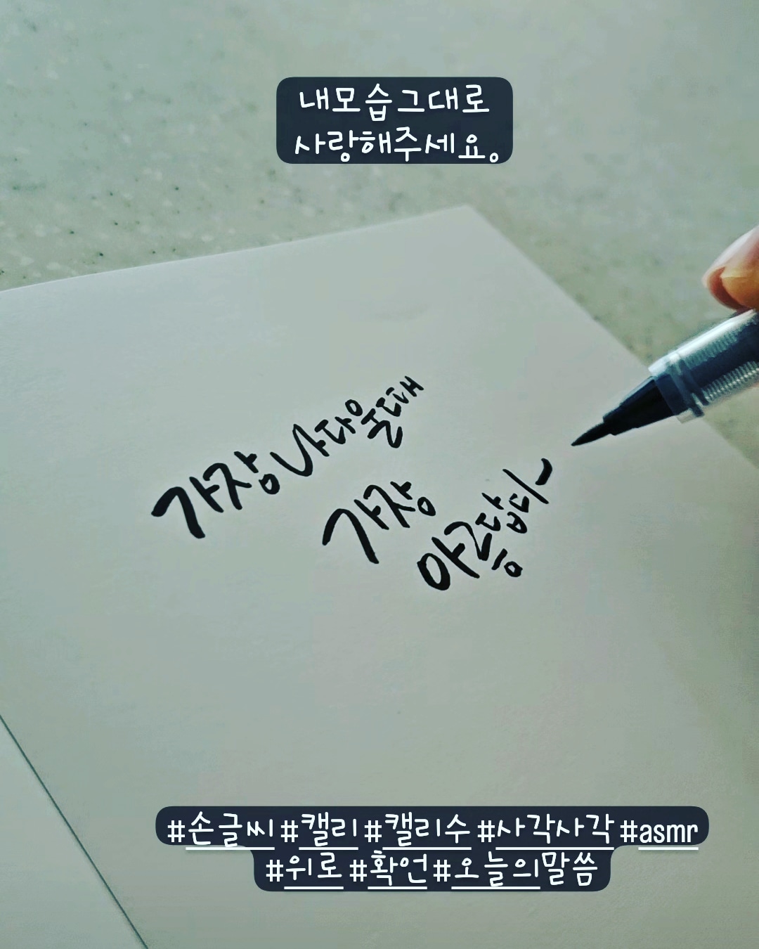 명태랑류명호 이미지