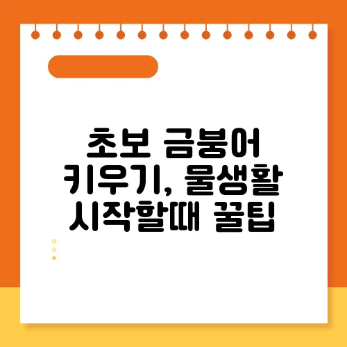 초보 금붕어 키우기, 물생활 시작할때 꿀팁