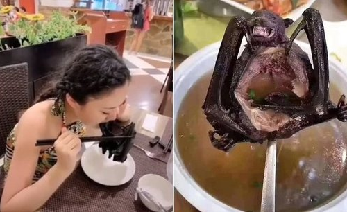  우한폐렴, 주가영향은?