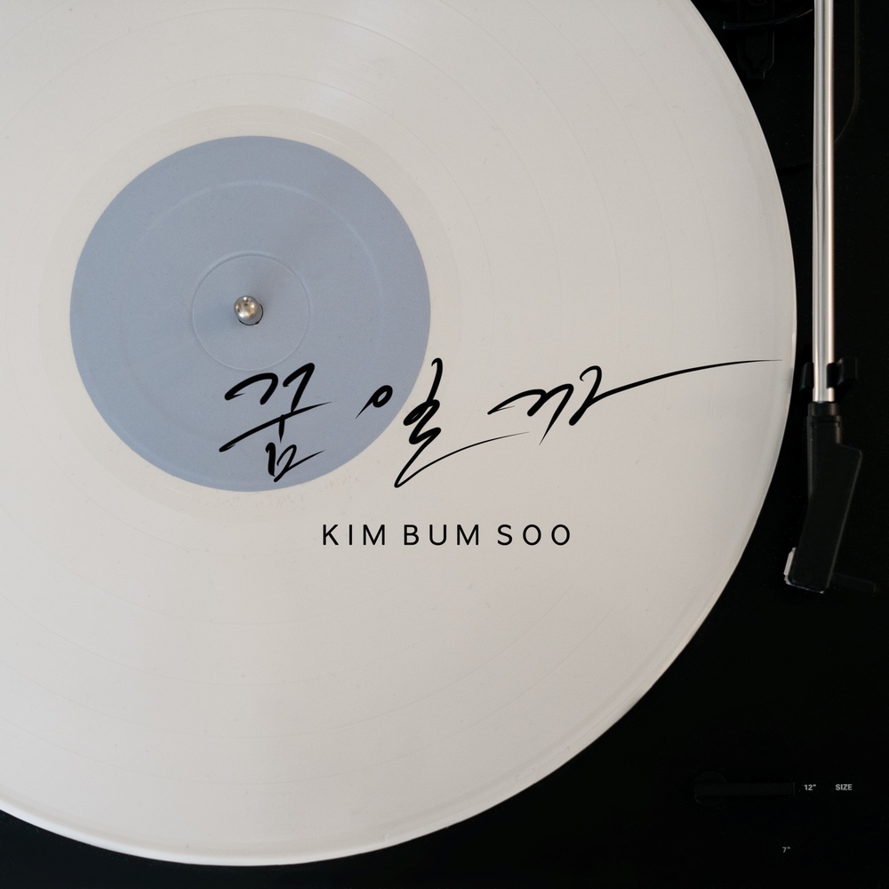  김범수 - 꿈일까 (가사/듣기)
