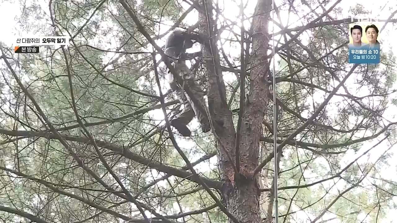 나는 자연인이다.E525.221027p-NEXT.mp4_20221027_192746.968.jpg