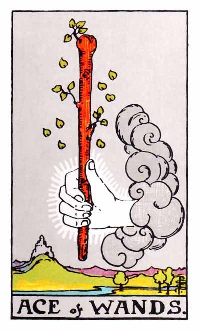  [타로카드 해석] 완즈.1 (정/역방향)-Ace of Wands