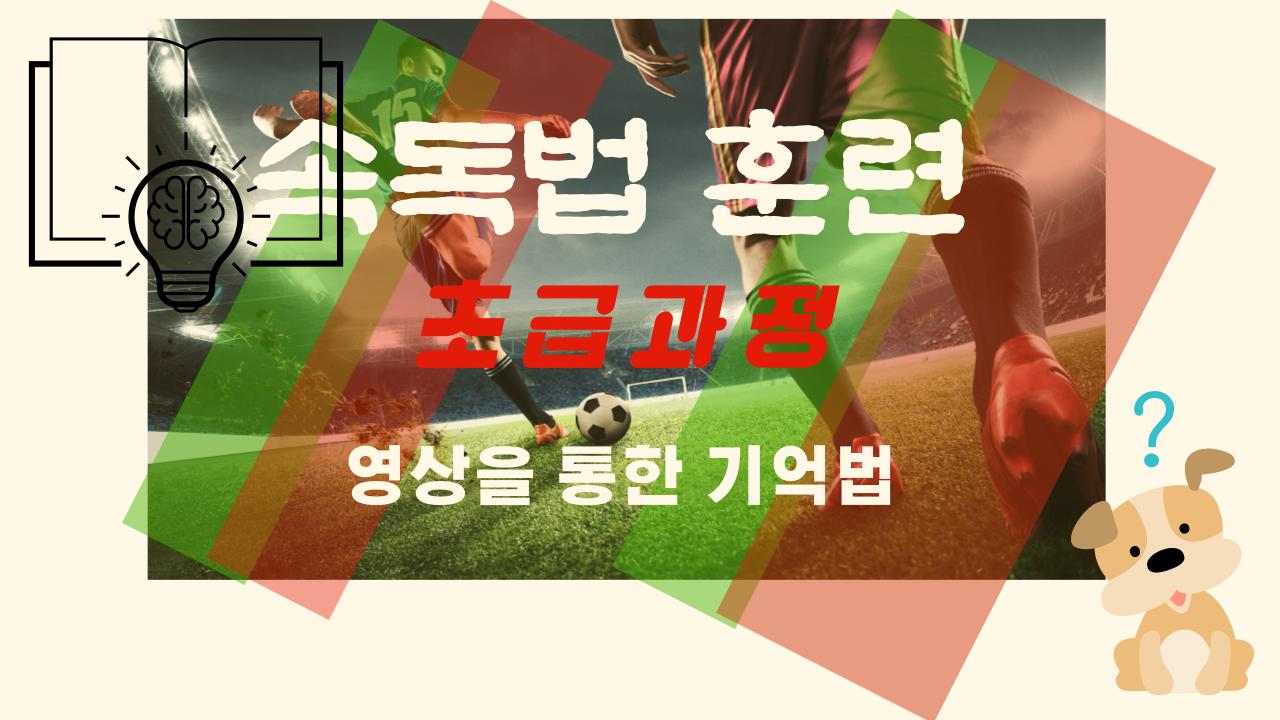  속독법 고도의 정신 집중력, 영상 기억,사진기억, 마인드맵화(정리력) 능력이 동시에길러지도록 모든 두뇌 개발 학문을 훈련한다