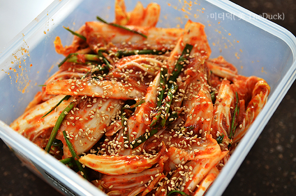알배추 겉절이 김치