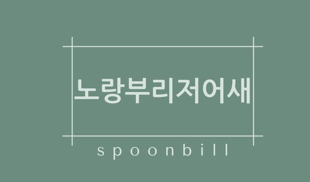 노랑부리저어새(spoonbill)