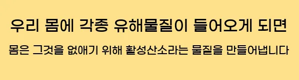  우리 몸에 각종 유해물질이 들어오게 되면 몸은 그것을 없애기 위해 활성산소라는 물질을 만들어냅니다