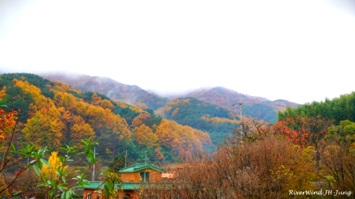 지리산 청학동 단풍