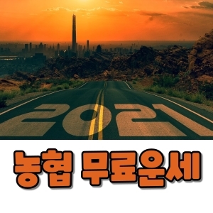  농협 무료운세 보기