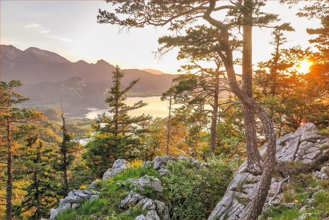 교육급여 바우처 사용처