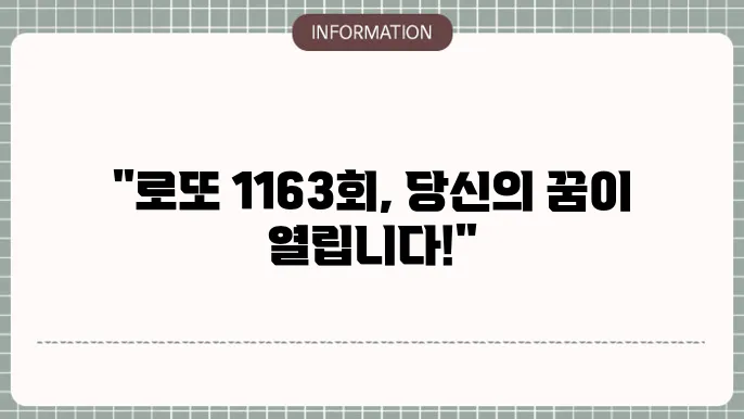 로또 1163회 예상번호 및 당첨번호