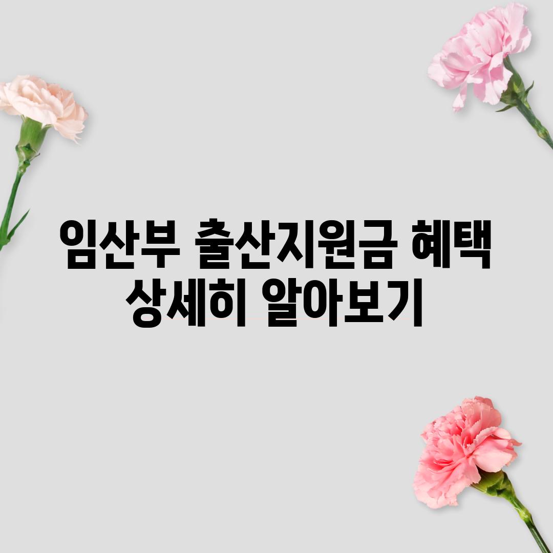 임산부 출산지원금 혜택 상세히 알아보기