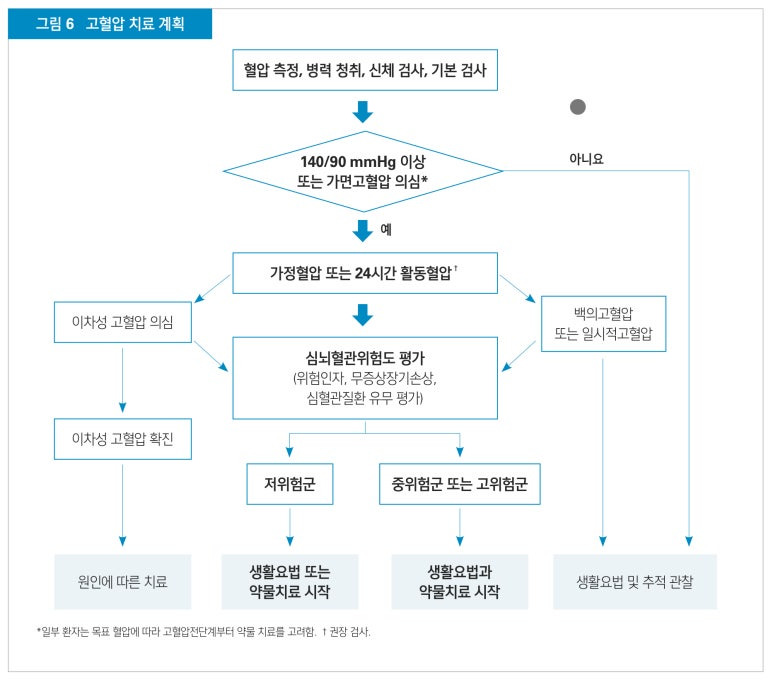고혈압 치료계획