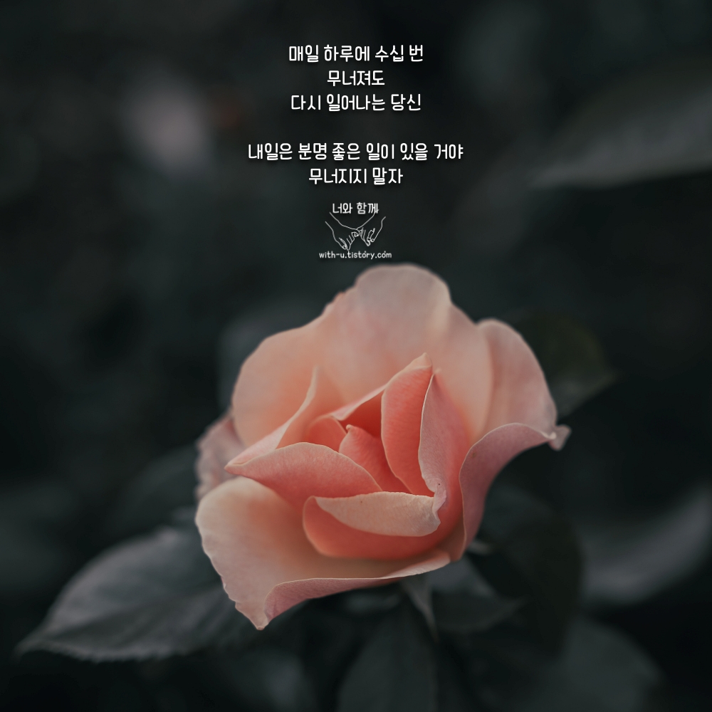  내일 명언 : 짧고 좋은 글귀 : 짧은 명언