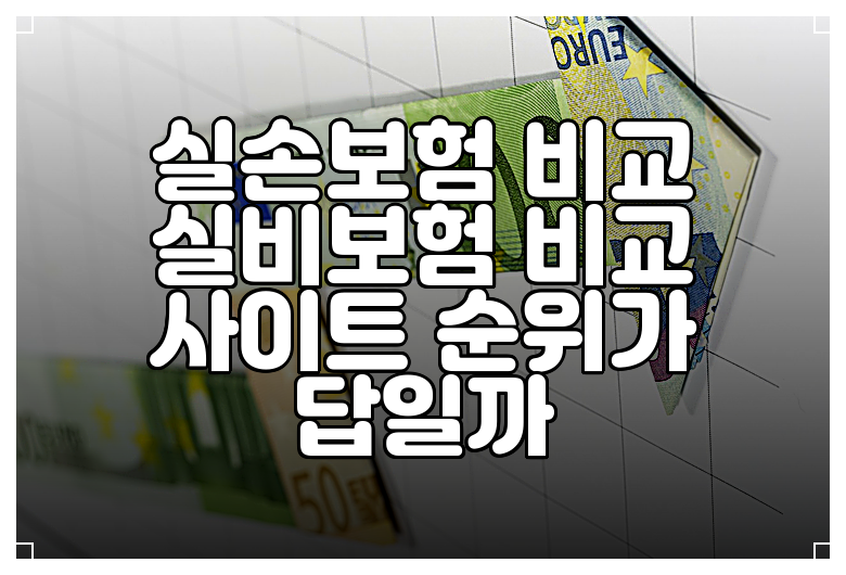 실손보험 비교 실비보험 비교 사이트 순위가 답일까