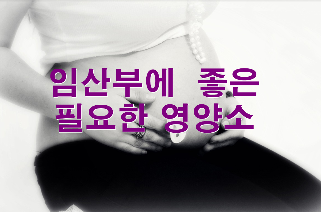  임산부에  좋은 필요한 영양소 간식 음식,과일 뭘 먹으면 도움이 될까?