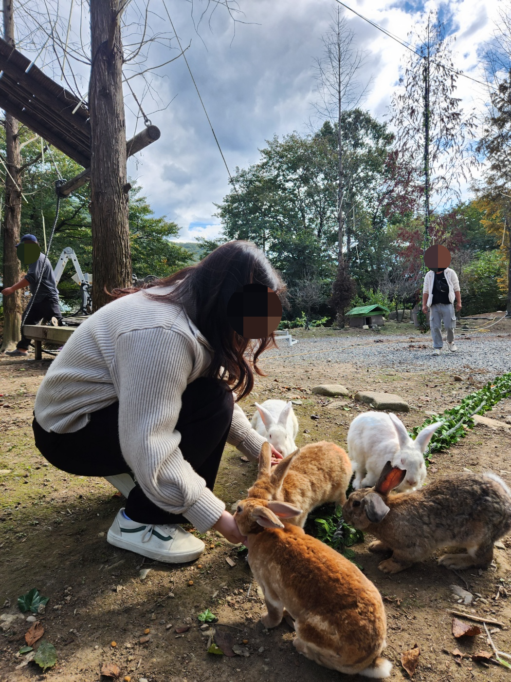 경주 국민힐링파크 토끼 먹이주기 체험