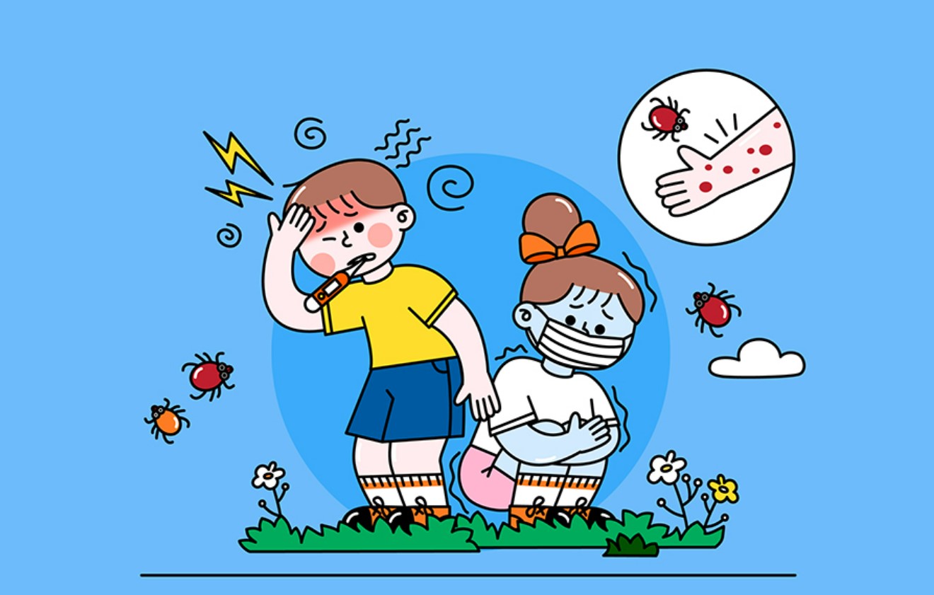  "쯔쯔가무시의 이해 : 원인, 증상 및 예방 방법"