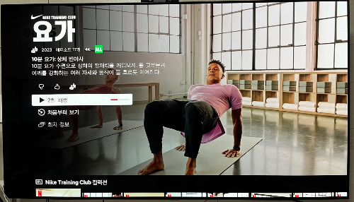  [넷플릭스 요가] '상체  빈야사'