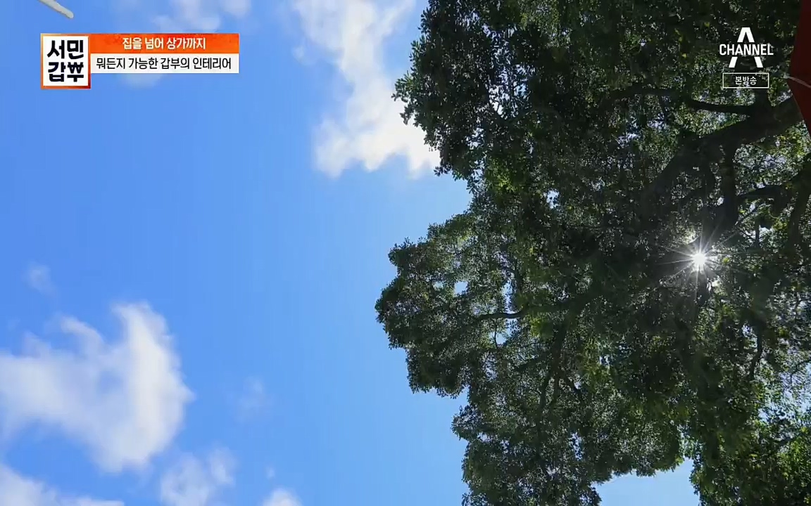 서민갑부.E382.220508p.H264-F1RST.mp4_20220508_180846.619.jpg
