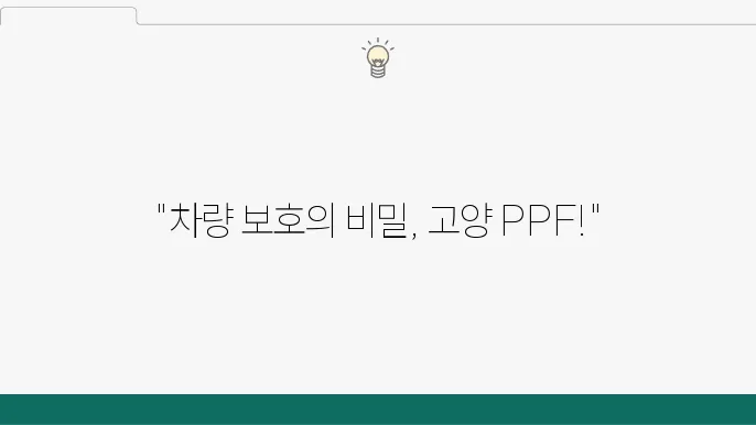 고양 PPF 시공, 어떤 사람들과 친해질까?