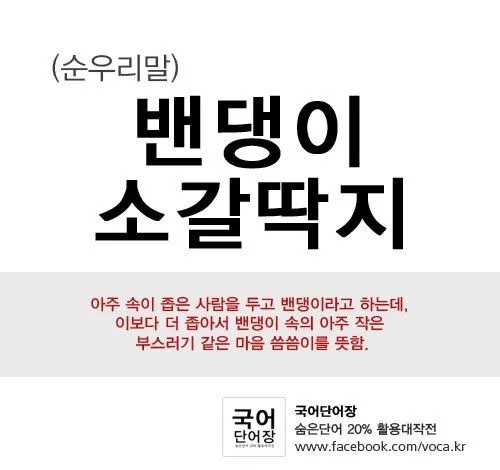 밴댕이 소갈딱지 뜻 사용 방법 용례 예시_6