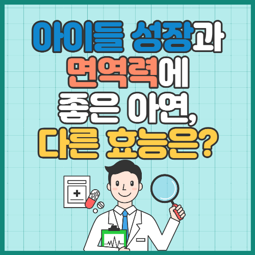 아연의효능