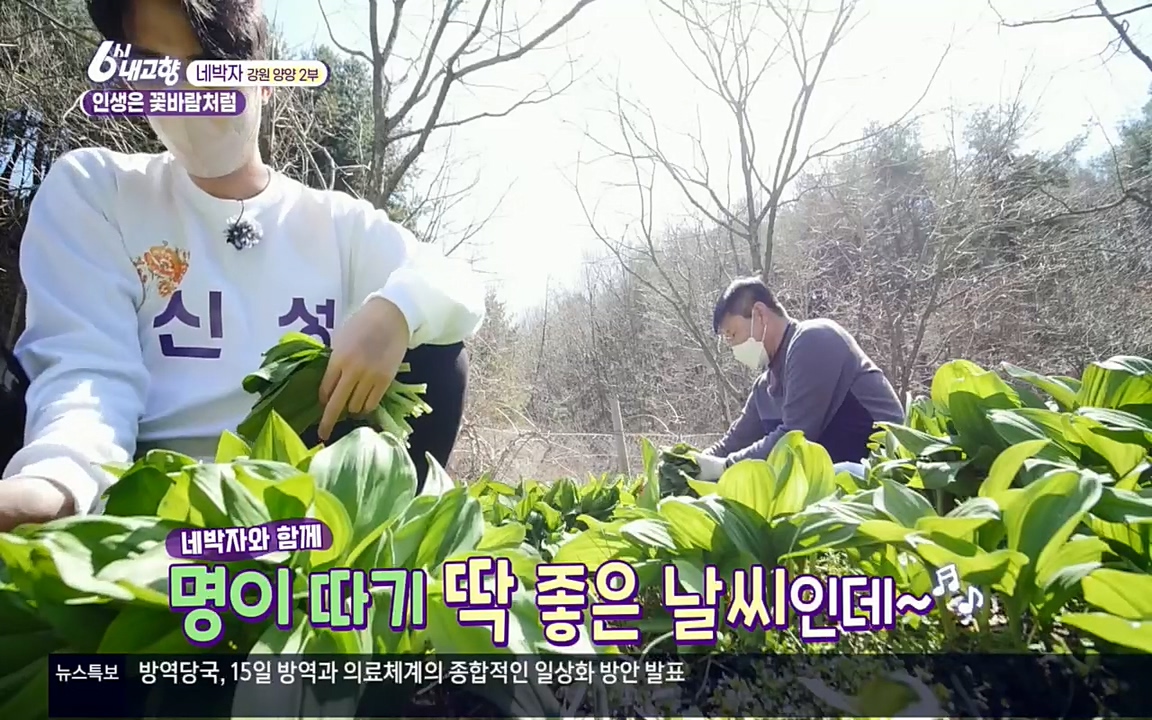 6시 내고향.E7510.220414p.H264-F1RST.mp4_20220419_184434.956.jpg