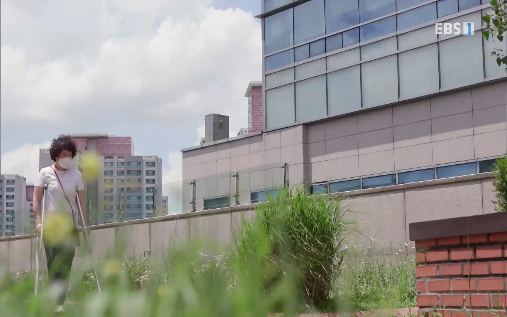 EBS 명의 헬스케어 - TV - 교육의 중심 EBS무릎 건강 프로젝트 2부 새 무릎으로 사는 법 .mp4_20220726_202327.307.jpg