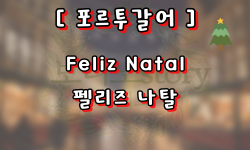 외국의-성탄절-인사-사진