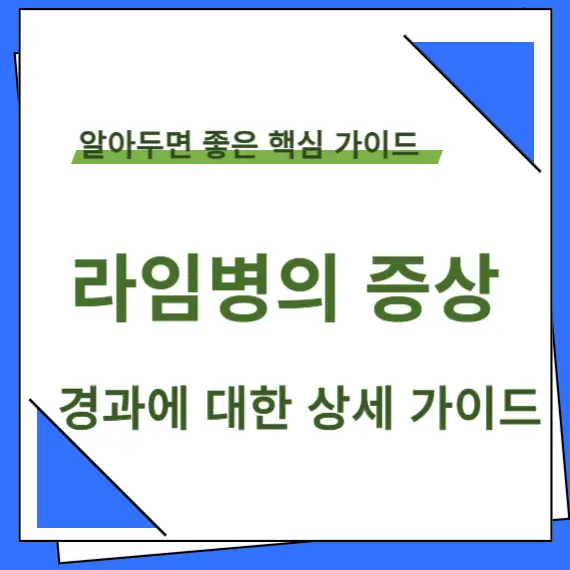 라임병의 증상 타이트 이미지