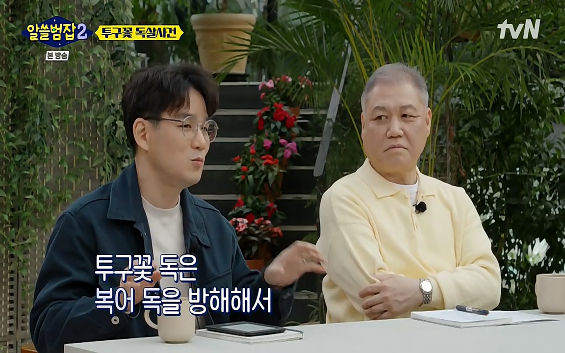 알쓸범잡 2.E15.220425p-NEXT.mp4_20220425_180727.960.jpg
