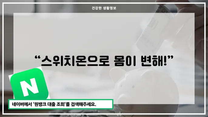 스위치온 다이어트 효과와 성공 사례