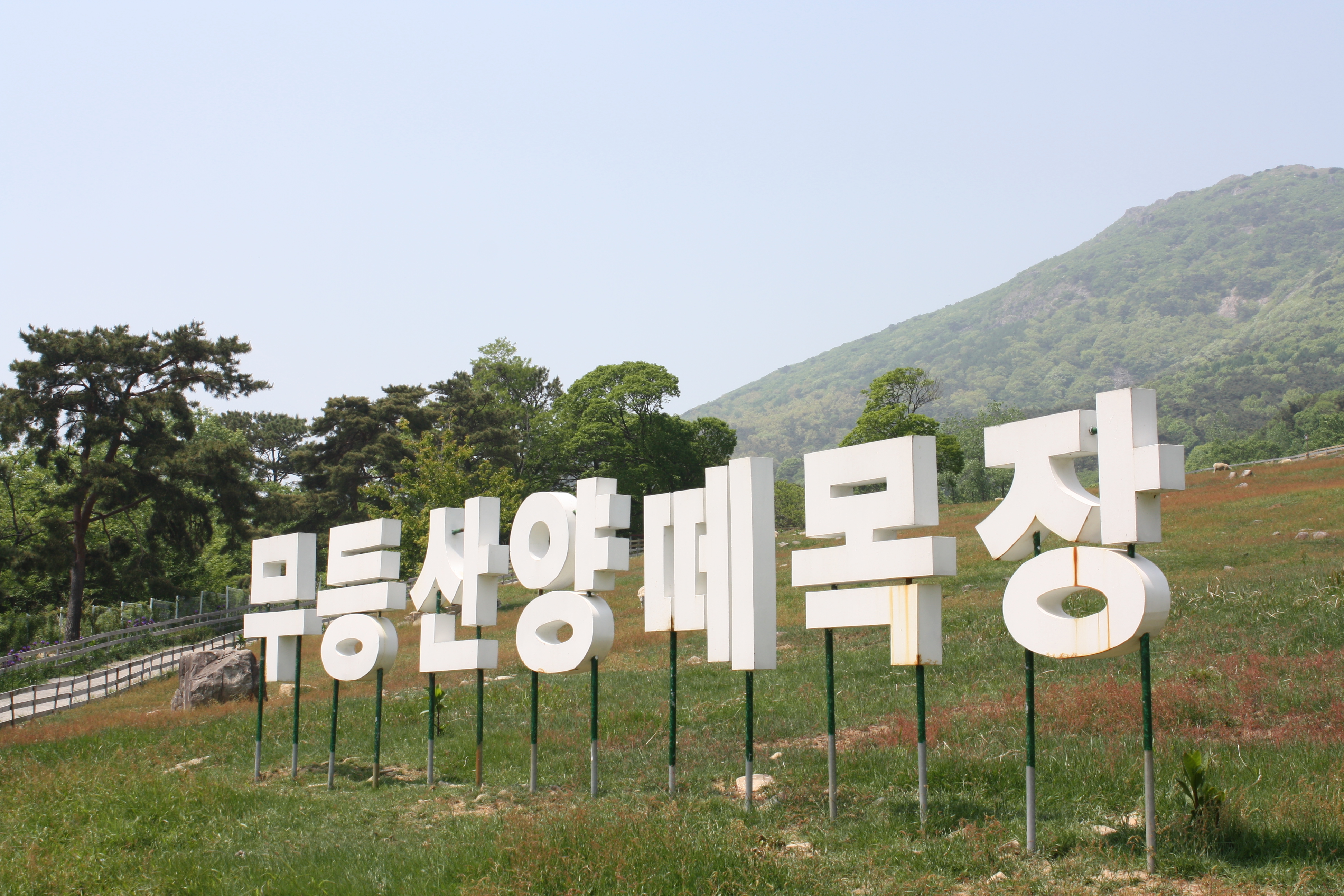  무등산 양떼 목장 [호남의 알프스]