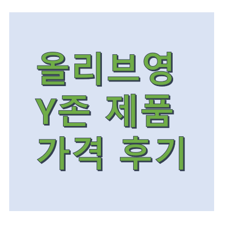  올리브영 질세정제,Y존향수 추천 가격 후기