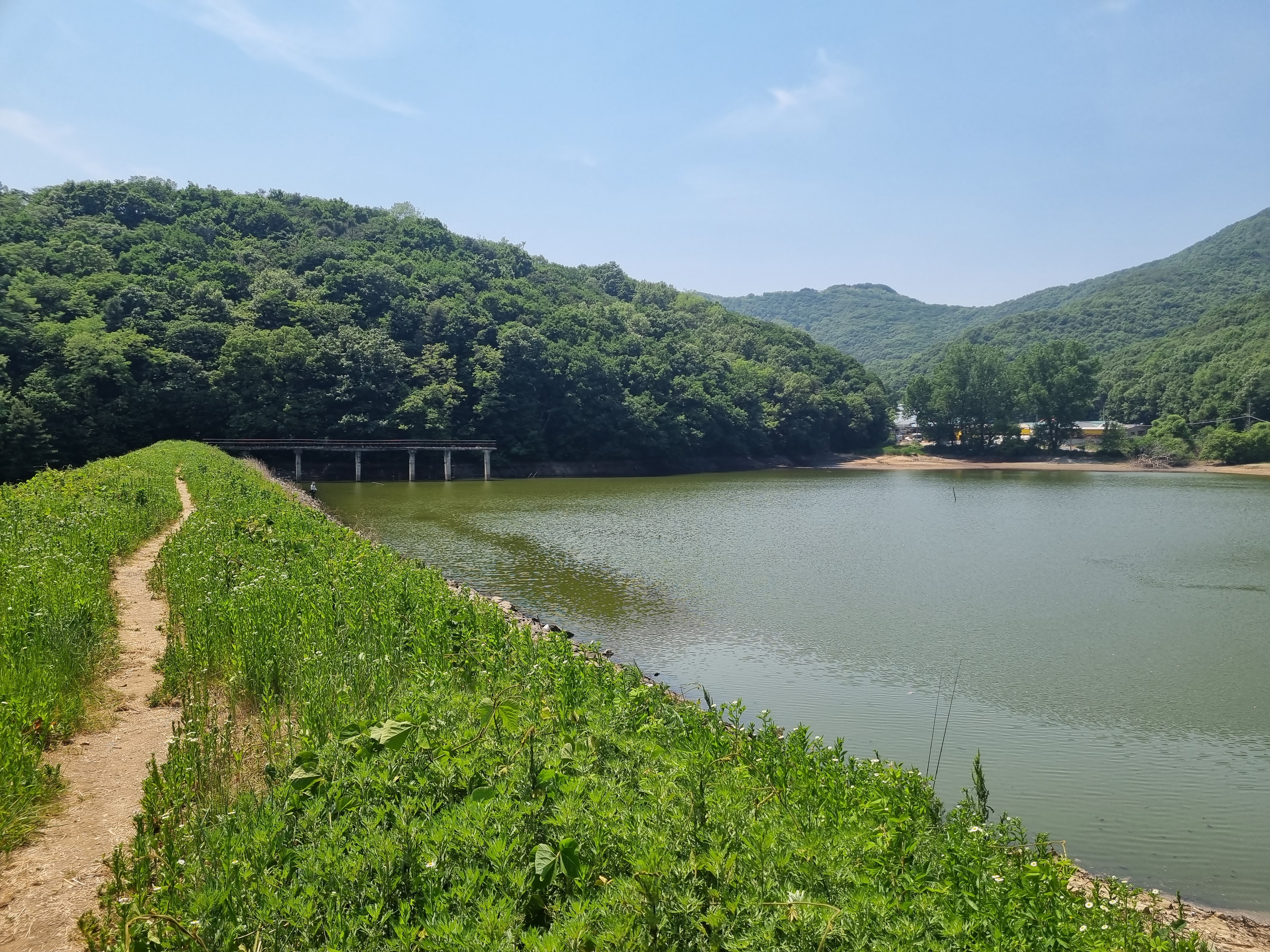 경기도안성저수지동항저수지천덕제포인트 배스낚시