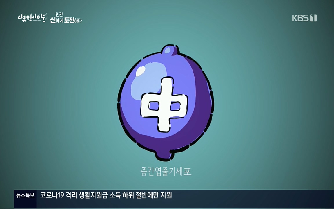 다큐 인사이트.E121.220819p.H264-F1RST.mp4_20220822_174910.498.jpg