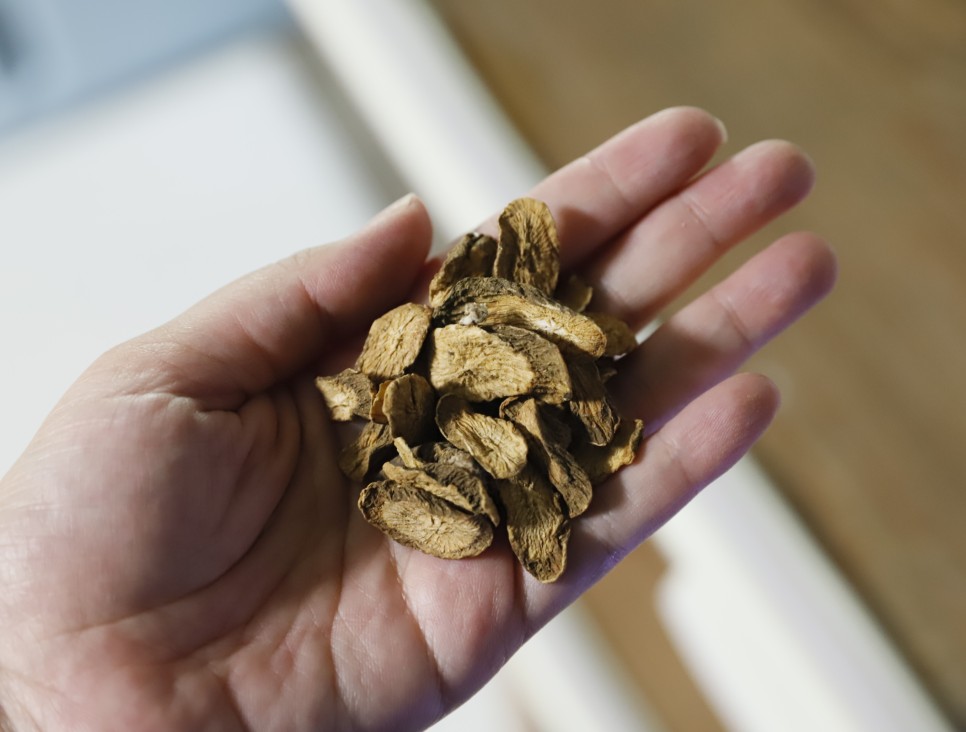 우엉 효능 우엉 효능우엉차 11