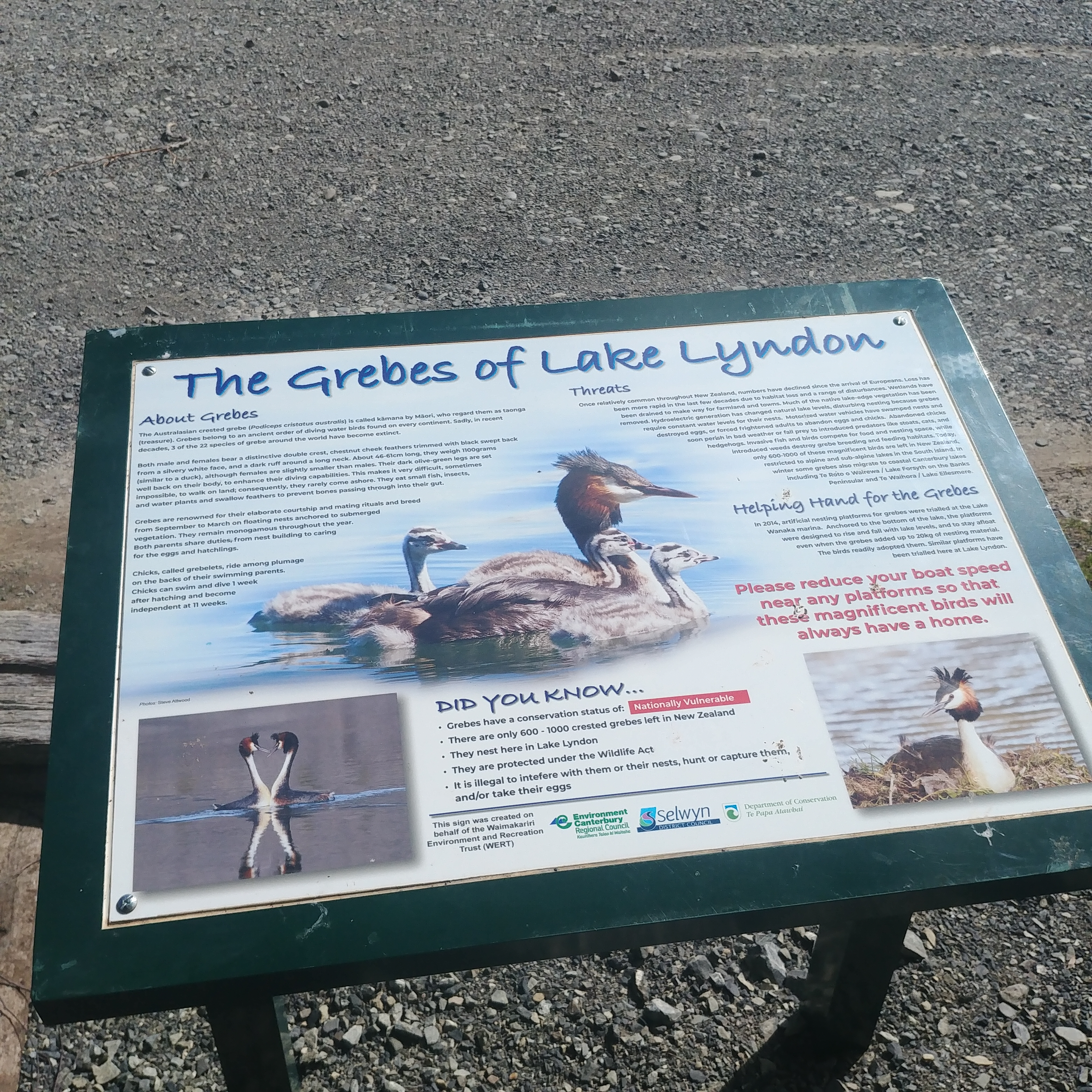 Lake Lyndon