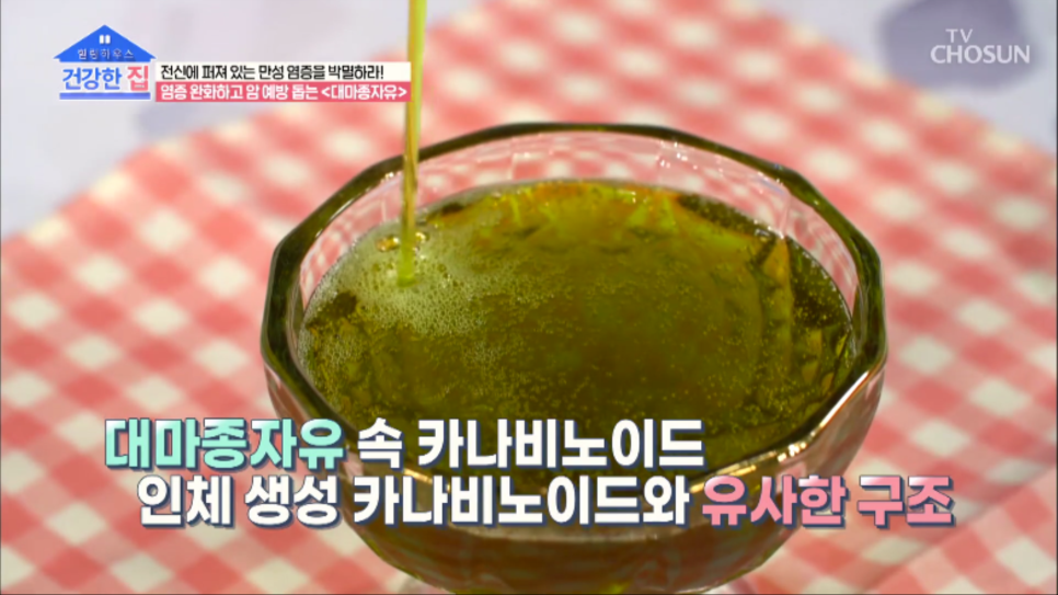 유방암에좋은 10