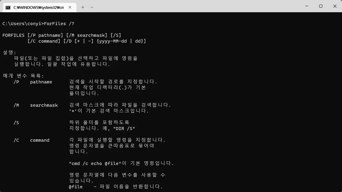 윈도우11 날짜별로 오래된 파일 삭제 하는 방법 사진1