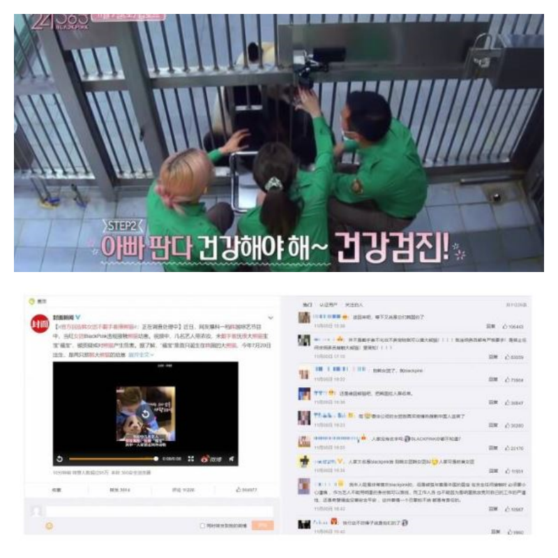  중국, 도 넘는 K-POP 아이돌 때리기...이번에 블랙핑크 중국 누리꾼들 비난 이어져
