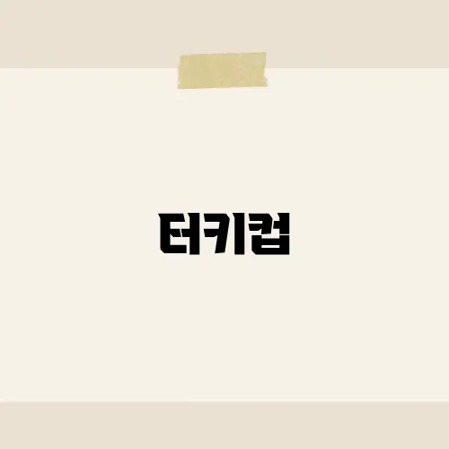 터키컵, 터키 축구의 열정과 역사를 담은 대회
