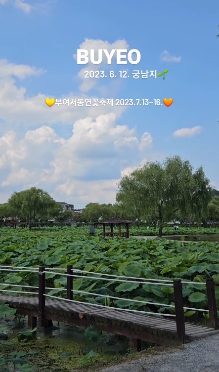 부여 서동연꽃축제 일정