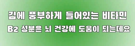  김에 풍부하게 들어있는 비타민 B2 성분은 뇌 건강에 도움이 되는데요